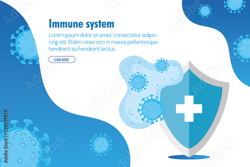 Covid 19 virus and shield with cross design of 2019 ncov cov coronavirus infection and corona theme Vector illustration