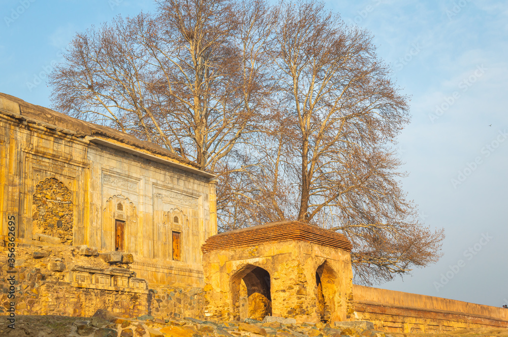 An old fort in Srinagar city with a Maple Tree in the background.