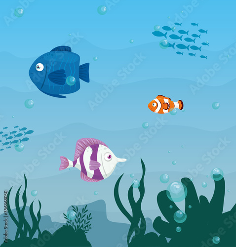 cute fishes wild marine animals in ocean, seaworld dwellers, cute underwater creatures,habitat marine concept vector illustration design