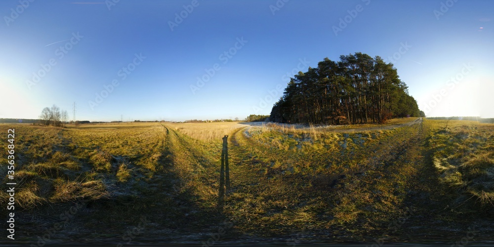 Natural forest Landscape HDRI Panorama