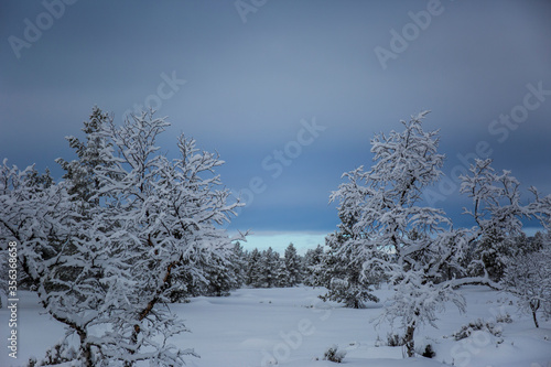 Winter landscape in Nuorgam, Lapland, Finland photo