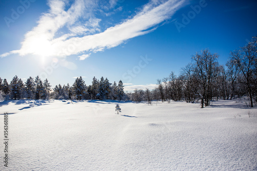 Winter landscape in Nuorgam, Lapland, Finland photo