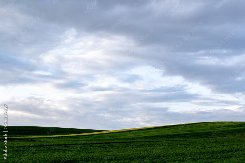 green field and blue sky