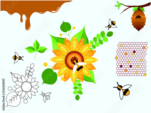 Vector Illustration of Honey Elements  Like honey  bee  honeycomb  Sunflower  leaf. Design element  outline set  icons of honey symbols  Vector illustration  eps 10.
