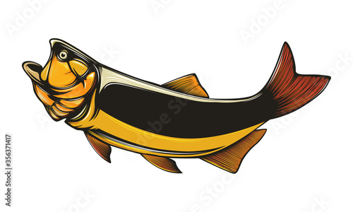 Gold dorado fishing  logo. Salminus brasiliensis fish club emblem. Fishing theme illustration. Isolated on white.