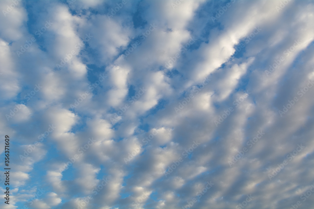 Banding of Altocumulus clouds in the morning