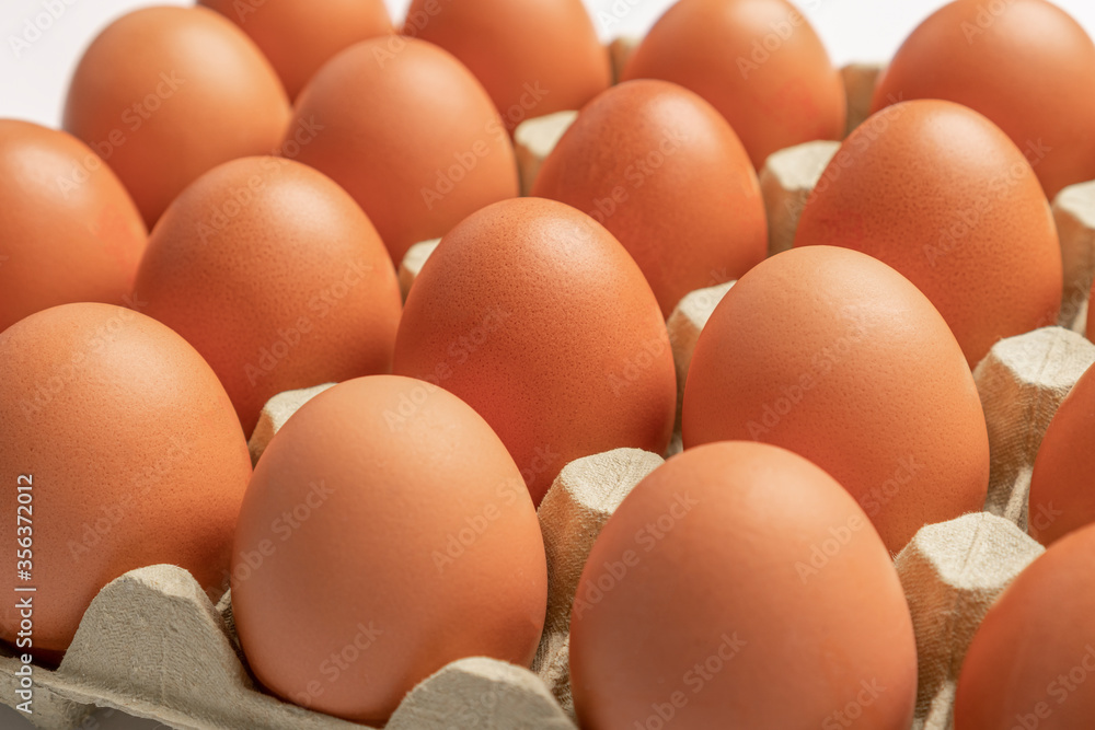 Close-up of chicken eggs in a pack Close-up of chicken eggs in a pack