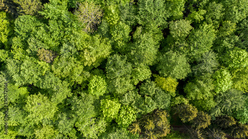 Sommerlicher Wald von Oben - Luftaufnahme © EinBlick