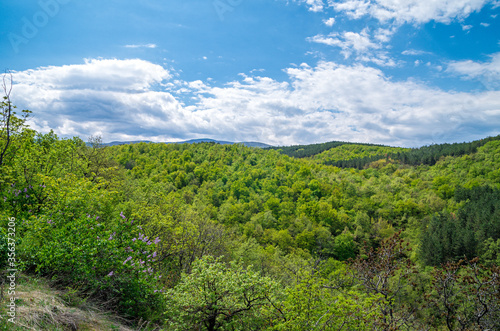 Mountain with trees and blue sky with clouds