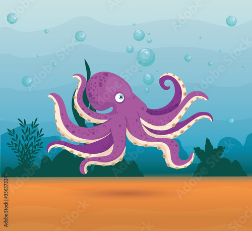octopus animal marine in ocean, sea world dweller, cute underwater creature,habitat marine vector illustration design