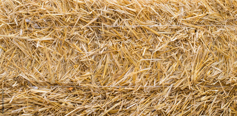 Photo texture pressed straw background Photo texture pressed straw background