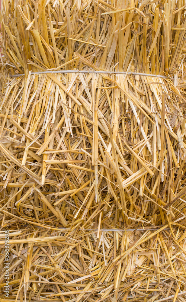 Photo texture pressed straw background Photo texture pressed straw background