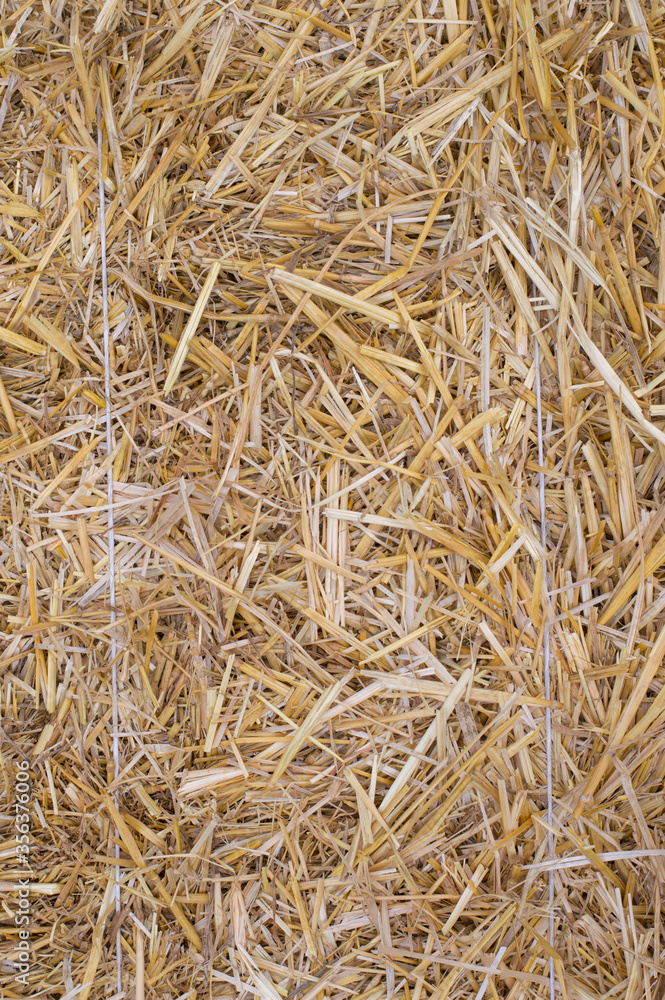 Photo texture pressed straw background Photo texture pressed straw background
