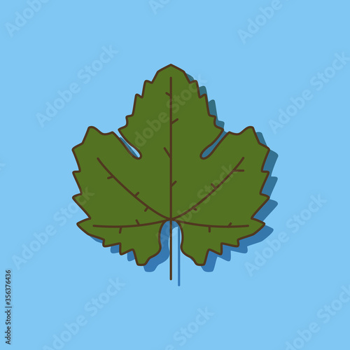 Vine leaf