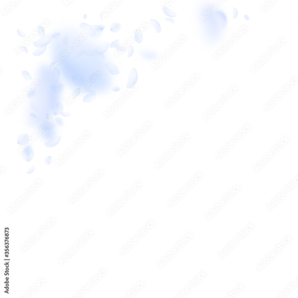 Light blue flower petals falling down. Extraordina Light blue flower petals falling down. Extraordina