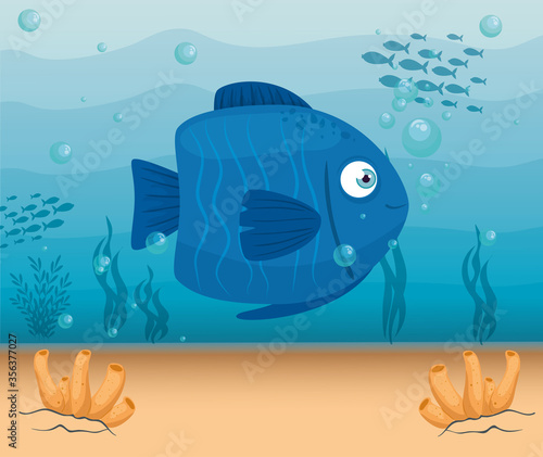 cute fish animal color blue marine in ocean, seaworld dweller, underwater creature,habitat marine concept vector illustration design