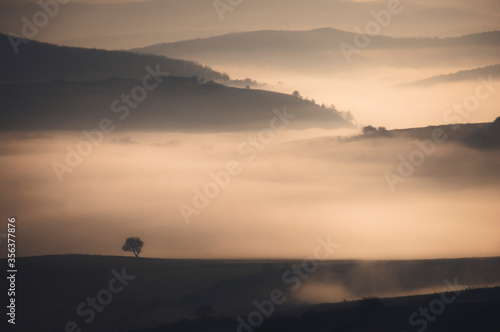 tree on hill in morning fog, minimal fantasy landscape © andreiuc88