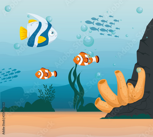 clownfish animals marine in ocean, with ornamental fishes, sea world dwellers, cute underwater creatures,habitat marine vector illustration design