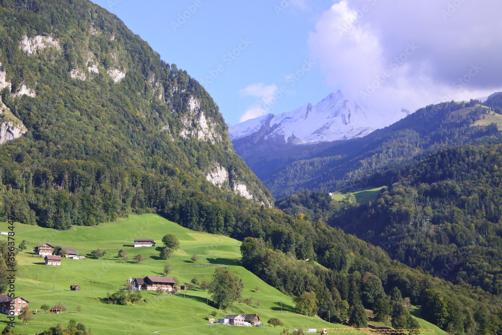 Obraz premium swiss alpine meadow