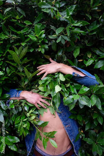 A Young man hidden in green bushes