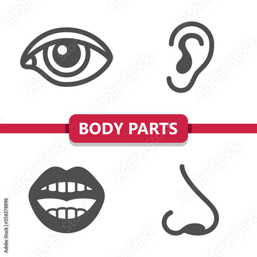 Body Parts Icons