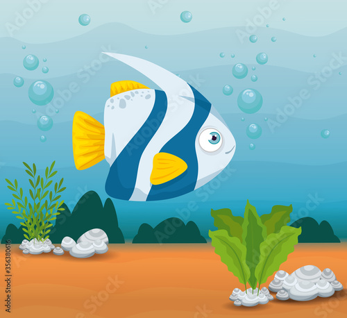 ornamental fish animal marine in ocean, sea world dweller, cute underwater creature,habitat marine vector illustration design
