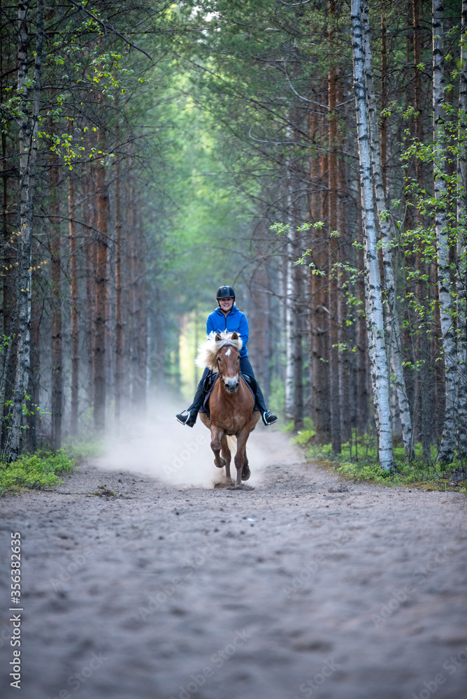horse, animal, farm, brown, nature, horses, mare, woman, foal, horseback, riding, equine, grass, animals, equestrian, stallion, outdoors, beautiful, field, mammal, pasture, beauty, rider, young, herd, horse, animal, farm, brown, nature, horses, mare, woman, foal, horseback, riding, equine, grass, animals, equestrian, stallion, outdoors, beautiful, field, mammal, pasture, beauty, rider, young, herd,