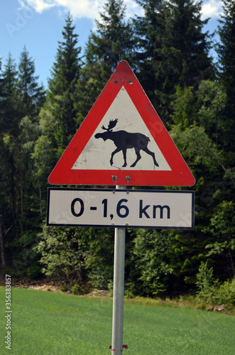 Moose warning sign. Road leading through the Scandinavian forest. Ostfold Region.Norway
