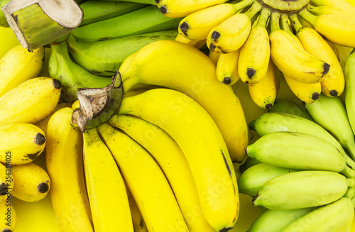 Assortment of  bananas close up
