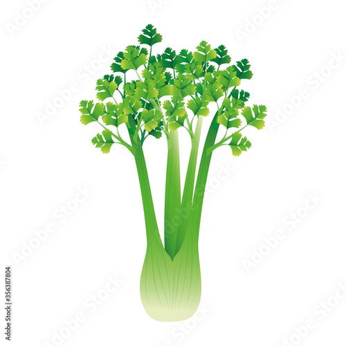 celery design, Vegetable organic food healthy fresh natural and market theme Vector illustration