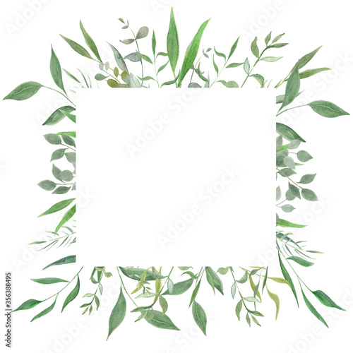 Fototapeta Naklejka Na Ścianę i Meble -  Watercolor illustration. Botanical label with  leaves. Herbal. Floral Design elements. Perfect for wedding invitations, greeting cards, blogs, posters and more