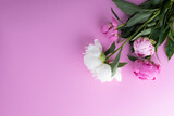 Peonies on a pink background. Copy space.