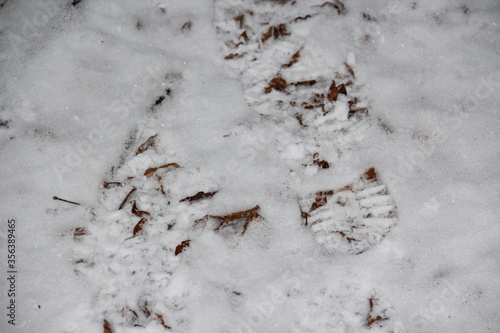 Footsteps in cold winter snow.