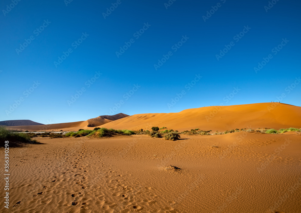 Desert landscape in Sossusvlei in the Namib Desert in Namibia