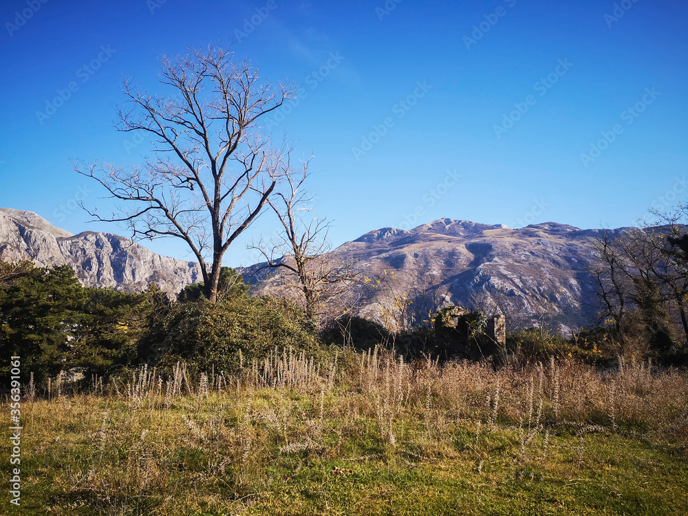 Fototapeta premium Scenic landscape of the mountain and trees from the top of Vrmac mountain in Montenegro on blue sky background, amazing Montenegro nature view