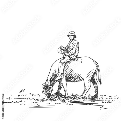 Asian farmer man is riding buffalo, Vector hand drawn sketch