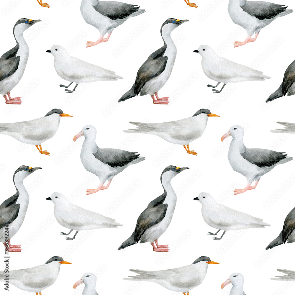 Obraz premium Watercolor seamless pattern with nothern birds. Antarctic tern, Imperial shag, Wandering albatross, Snow petrel. Wild birds for baby textile, wallpaper, nursery decoration. Antarctic series.