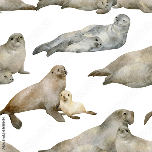 Watercolor seamless pattern with seals. Wild north animals. Fur seal, Leopard seal, Elephant seal. Marine mammal for baby textile, wallpaper, nursery decoration. Antarctic series.