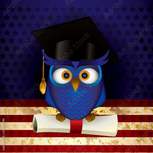 owl perched on certificate