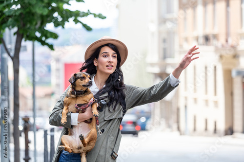 Young woman with dog waving to stop a taxi on the street. young female with funny dog stretching out arm and catching taxi while standing on roadside in city © Graphicroyalty