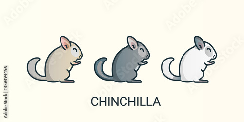 Chinchilla pets icons in flat line trendy style with different color . Line art. Beige, Standart Grey, Wilson White.