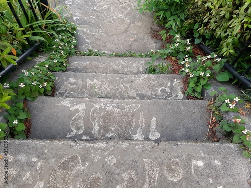 小川と階段
