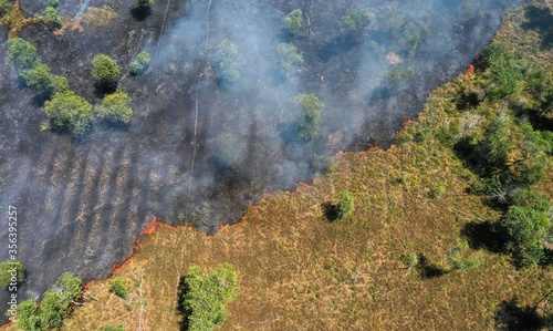 Air pollution. Fire on dry grass. 