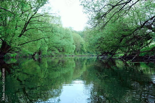 Reflection of green trees and banks in a calm river in the summer. River rafting in summer. Packrafting in wilderness.