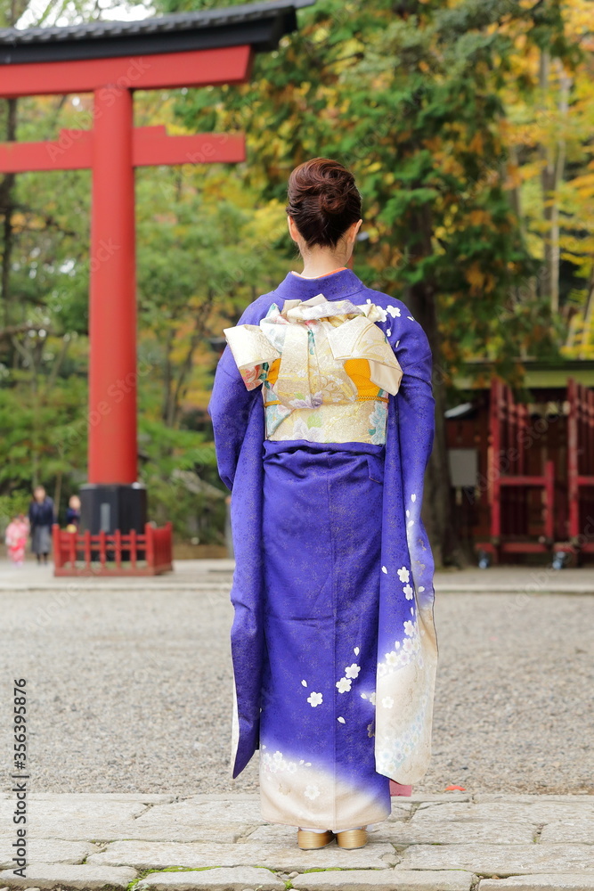 日本の美しい着物の後ろ姿 日本の美しい着物の後ろ姿