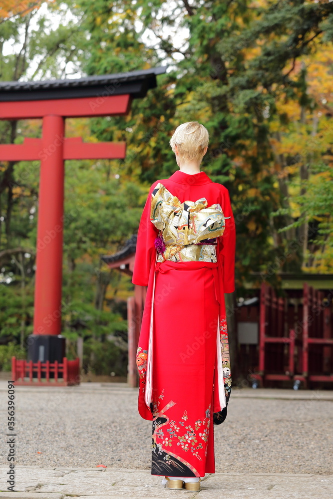 日本の美しい着物の後ろ姿 日本の美しい着物の後ろ姿