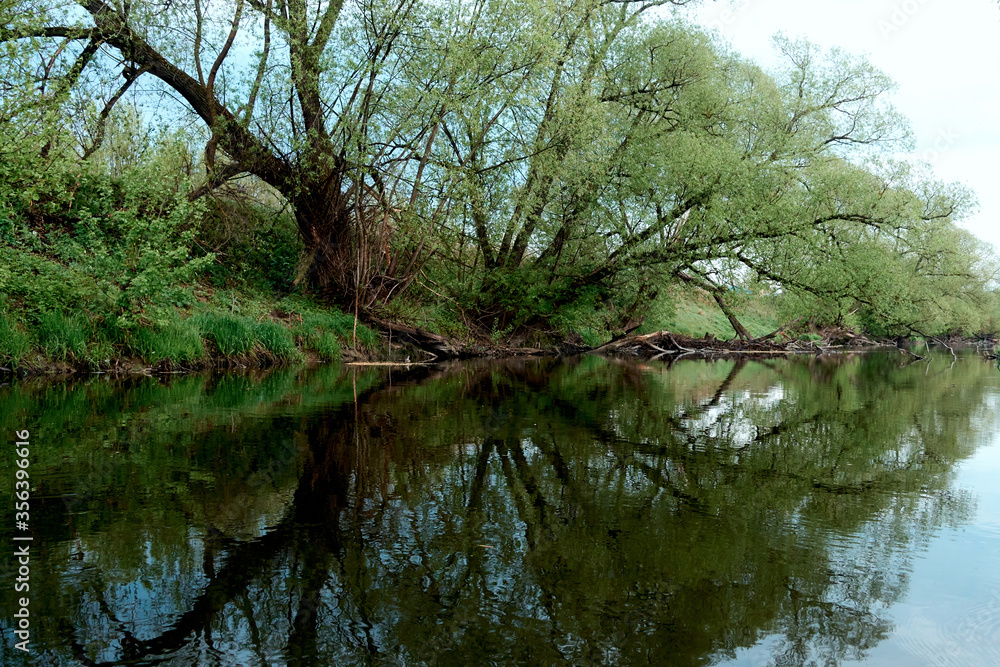 Reflection of green trees and banks in a calm river in the summer. River rafting in summer. Packrafting in wilderness.