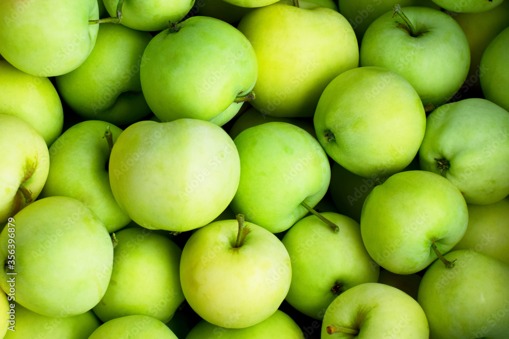 Fresh green apple harvest background Fresh green apple harvest background