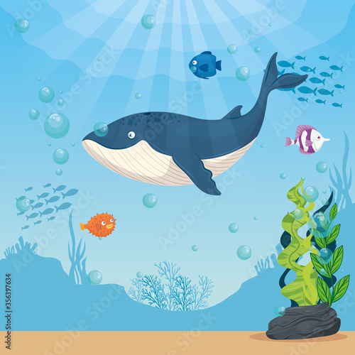 blue whale with fishes and wild marine animals in ocean, sea world dwellers, cute underwater creatures,habitat marine concept vector illustration design