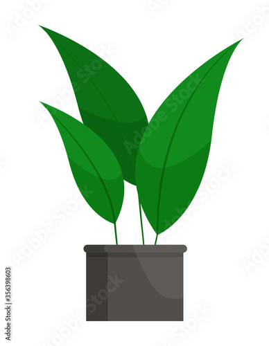 Houseplant stem with leaves in flowerpot. Natural green color decoration buds in pot symbol isolated on white. Gardening and floral object for interior of room. Tropical plant in cartoon style vector